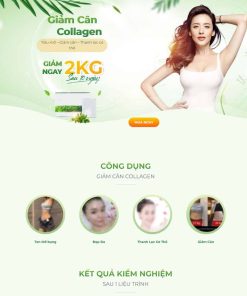 Theme WordPress Landing page bột giảm cân