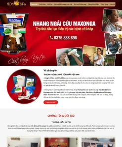 Theme WordPress bán đá muối