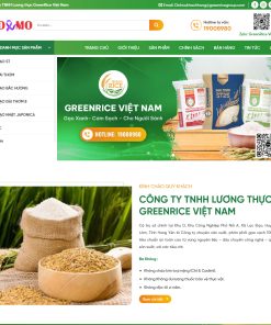 Theme WordPress Gạo ST