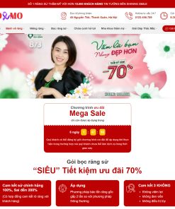 Theme WordPress Nha khoa Nụ cười