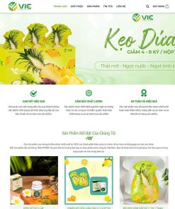 Theme WordPress thực phẩm chức năng 17