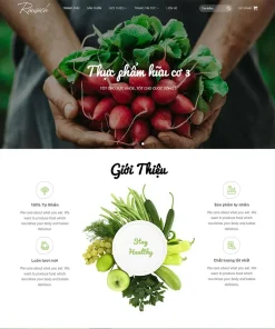 Theme WordPress thực phẩm sạch 28