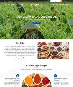 Theme WordPress thực phẩm chức năng 23
