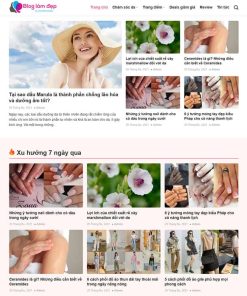 Theme WordPress tin tức 11