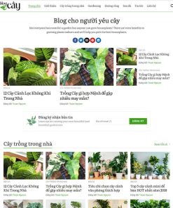 Theme WordPress tin tức 12