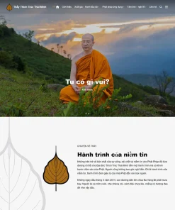 Theme WordPress tin tức 21