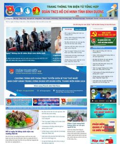 Theme WordPress tin tức 09